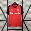 Bayer Leverkusen 2024/25