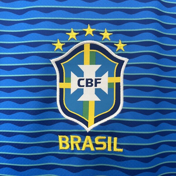 Brasil Copa América 2024 - Imagen 3