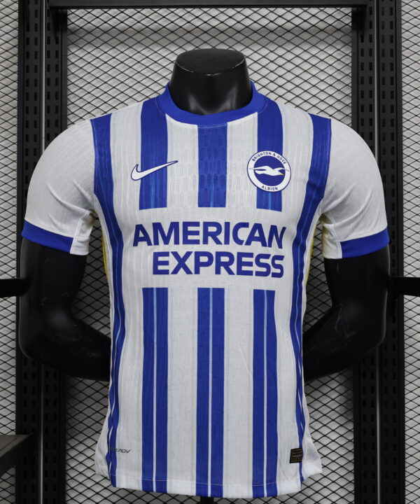 Brighton 2024/25 PLAYER VERSION