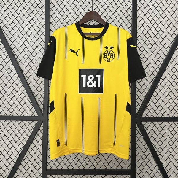 Borussia Dortmund 2024/25