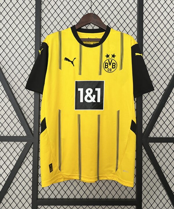 Borussia Dortmund 2024/25
