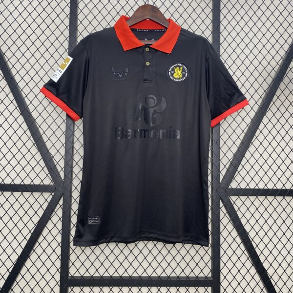 Bayer Leverkusen 2024/25