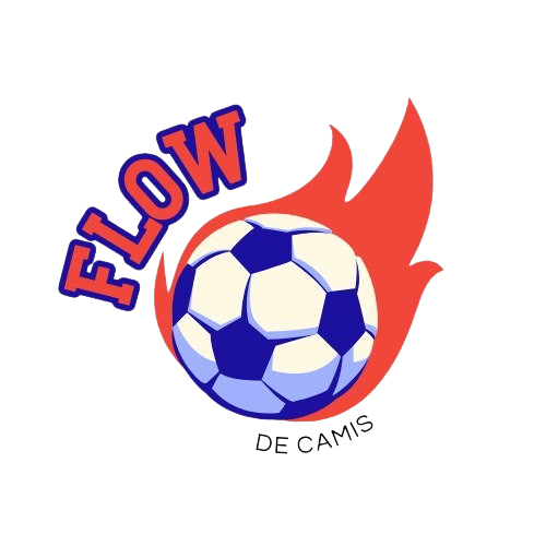 Flow de Camis